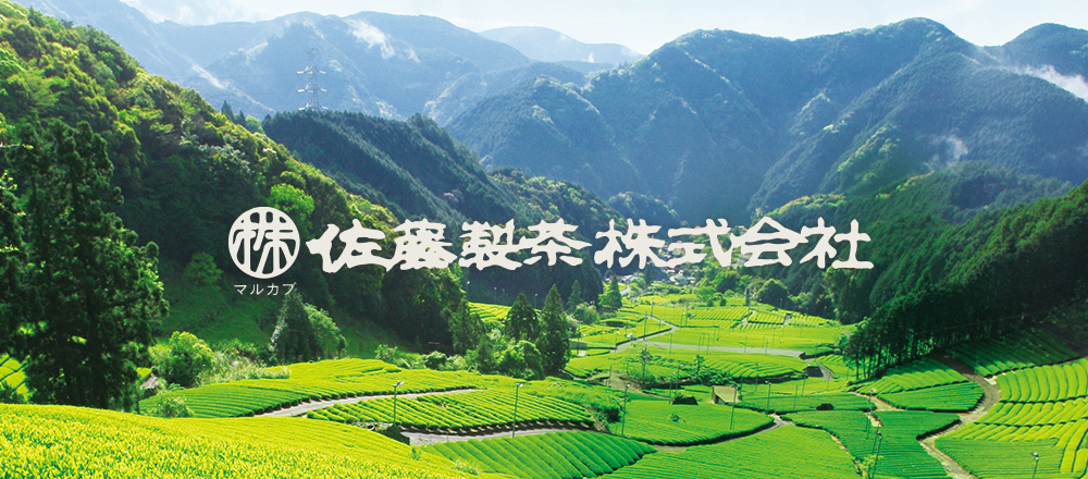 マルカブ佐藤製茶