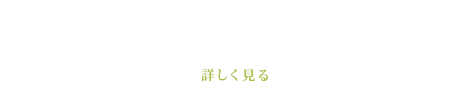 詳しく見る