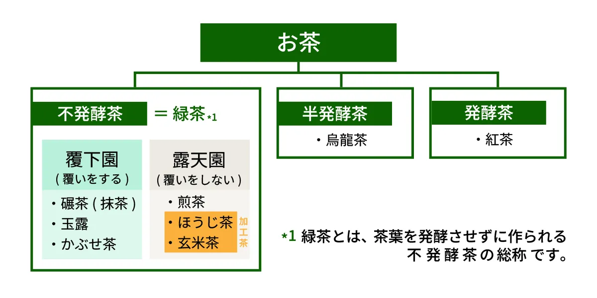 お茶の種類の図解
