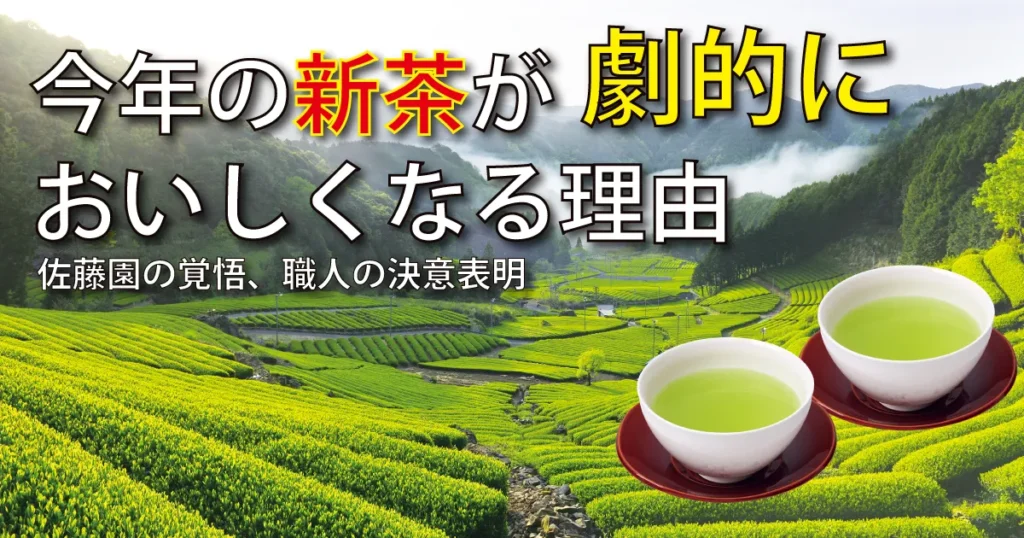 茶師の決意表明