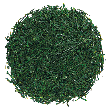 SENCHA