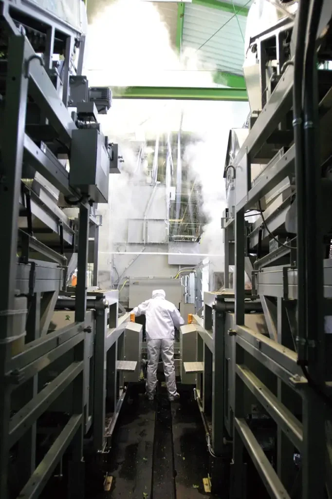 製茶職人の後ろ姿