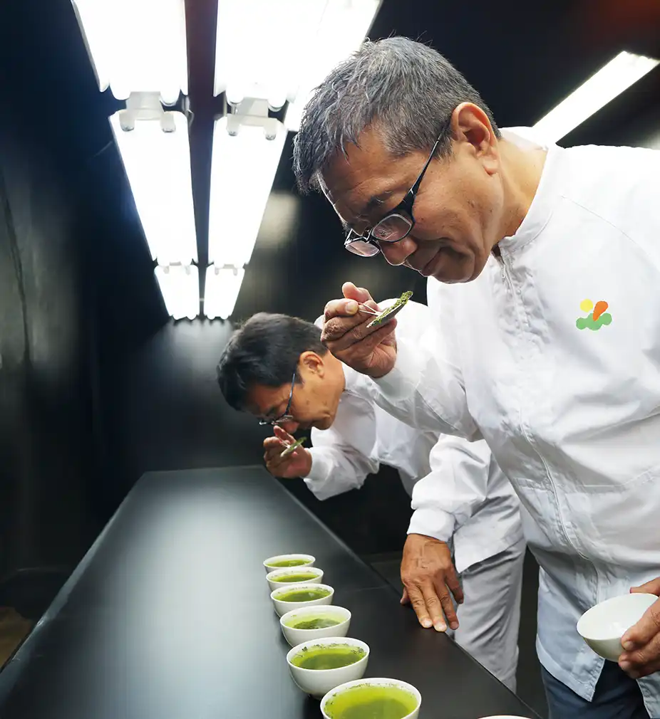 利き茶をする茶師たち